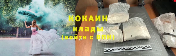 амф Заречный