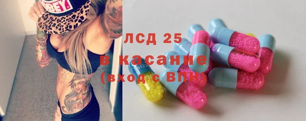 2c-b Бородино