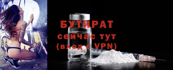 2c-b Бородино