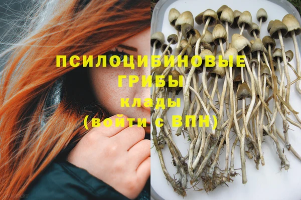 2c-b Бородино