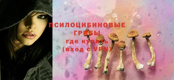 2c-b Бородино