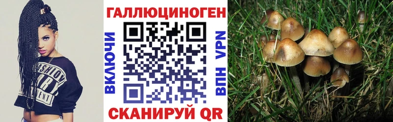 Псилоцибиновые грибы мицелий Мантурово